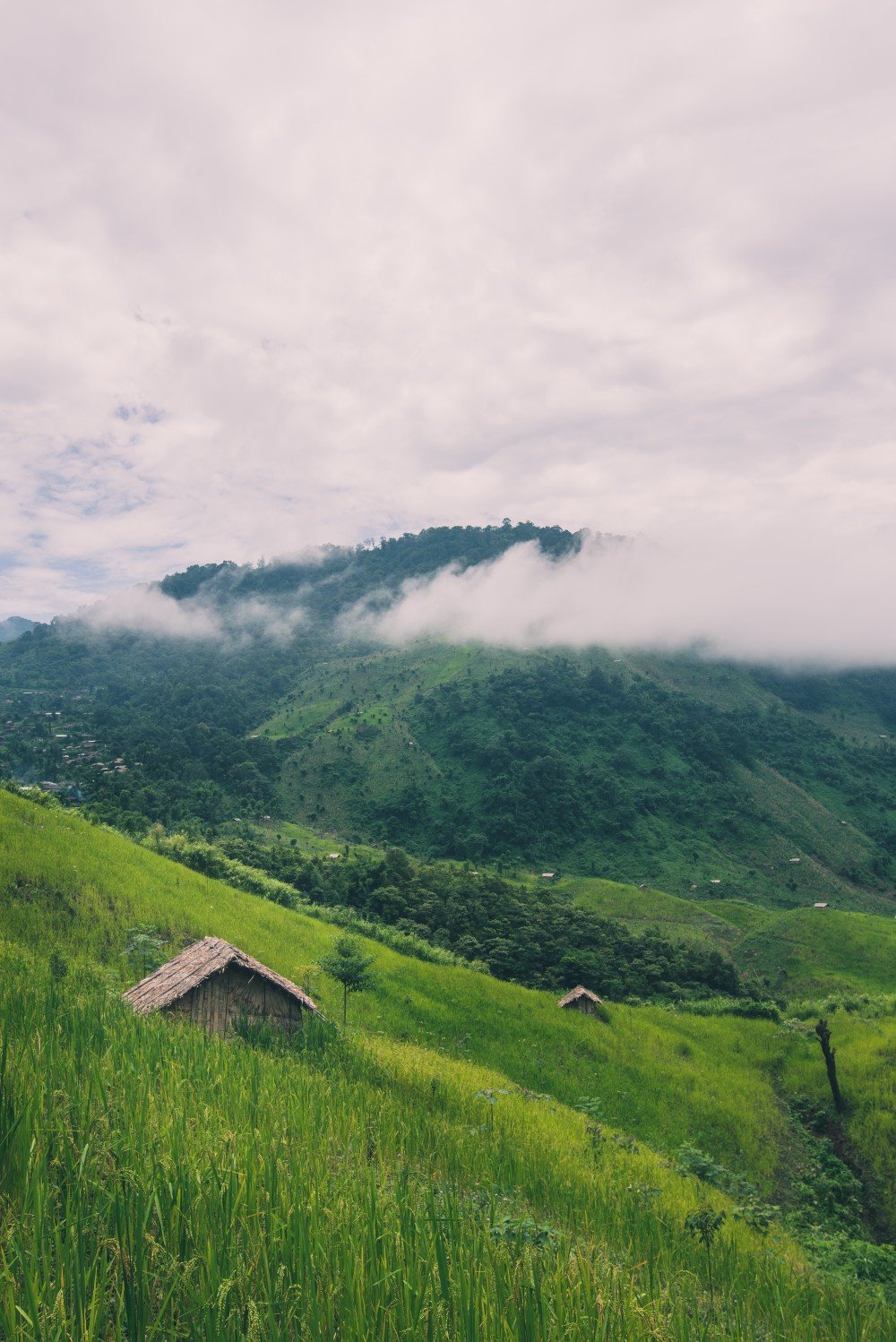 vertical shot mountains covered greenery (1)